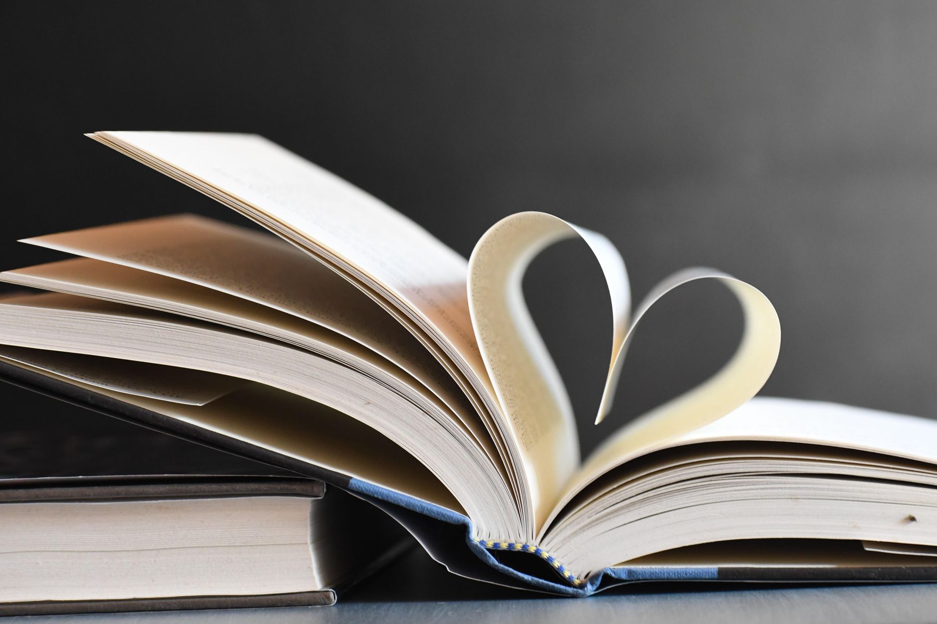 Finding the Main Idea in Nonfiction - illustration