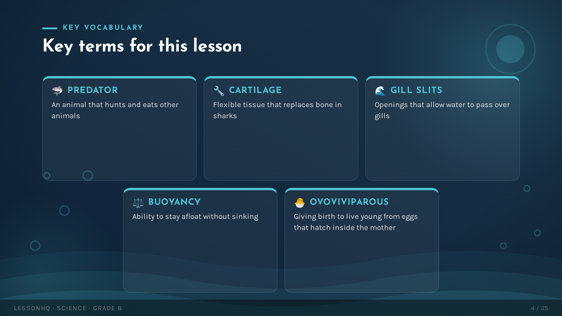 Sharks: Masters of the Ocean - slide 4