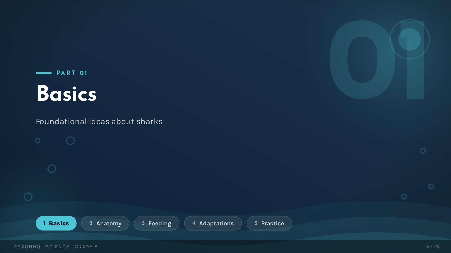 Sharks: Masters of the Ocean - slide 5