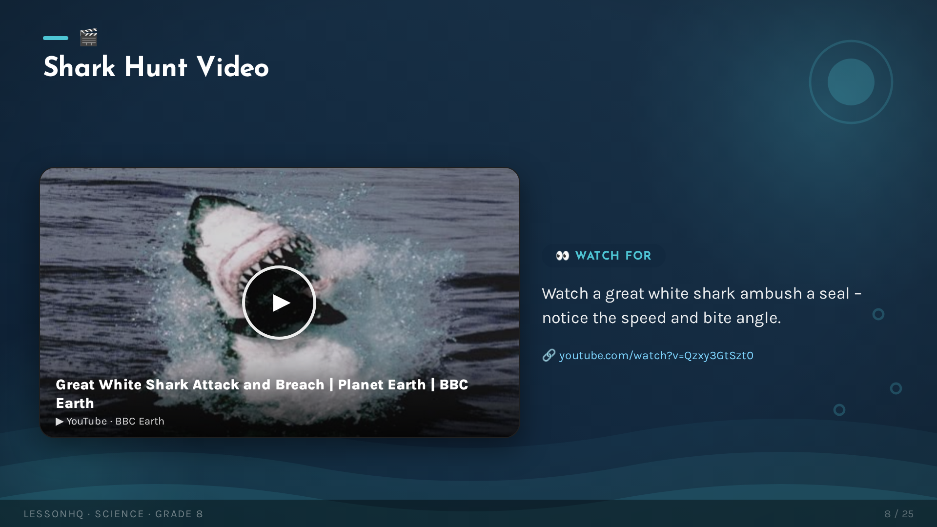 Sharks: Masters of the Ocean - slide 8